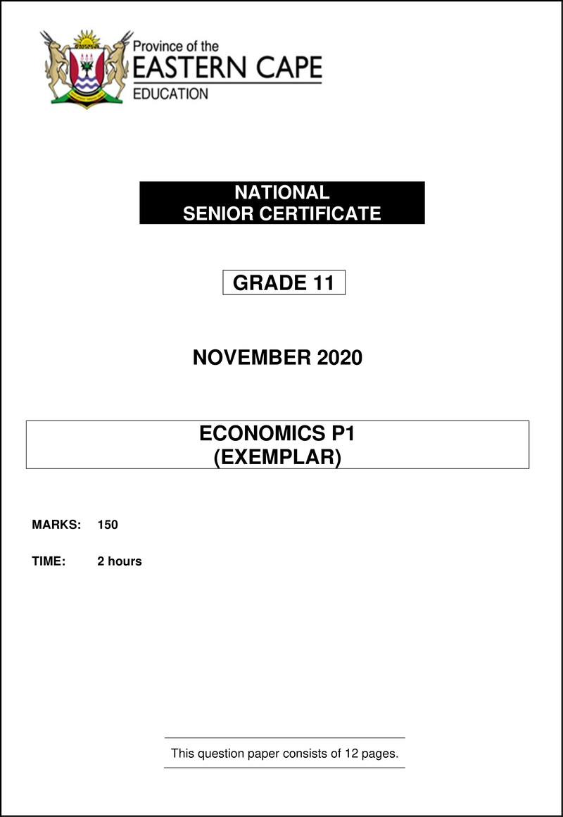 Econ P1 Gr11 QP Nov 2020