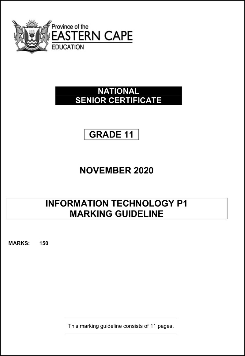 It P1 Memo Gr11 Nov2020 Eng D