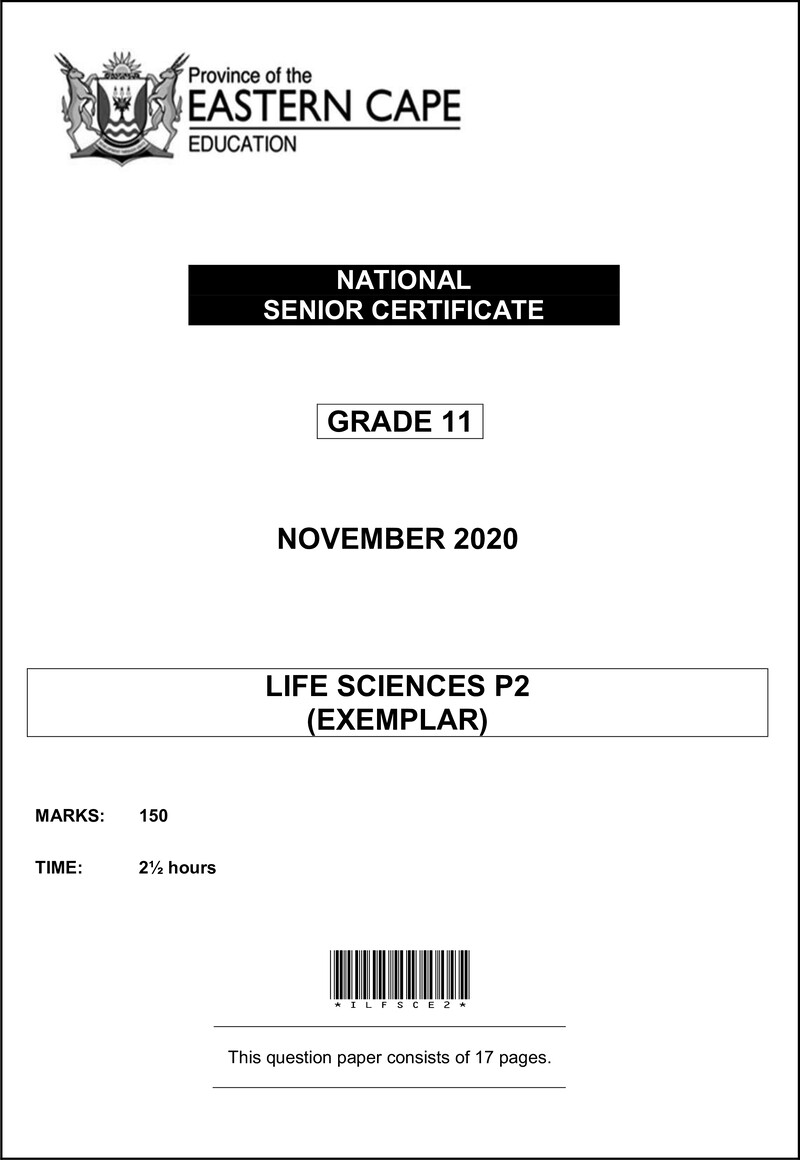 Grade 11 Life Sciences past paper 2020 – life sciences p2 qp gr11 nov2020eng d