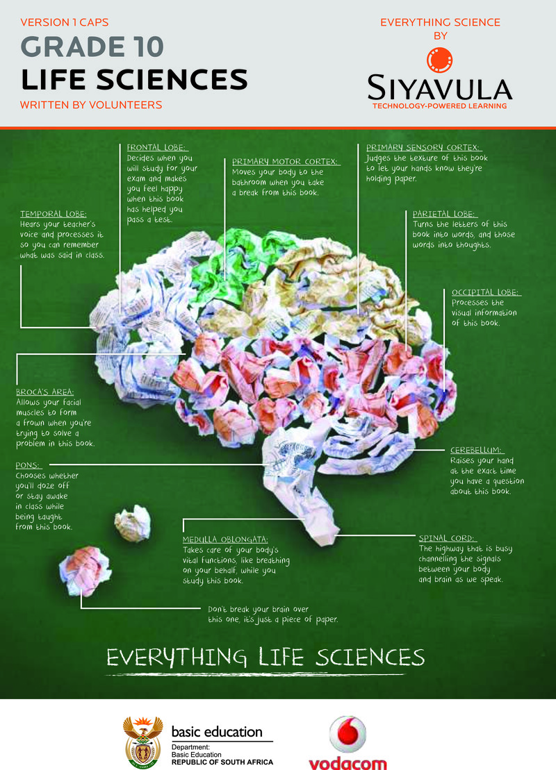 Gr10 Lifesciences Learner Eng