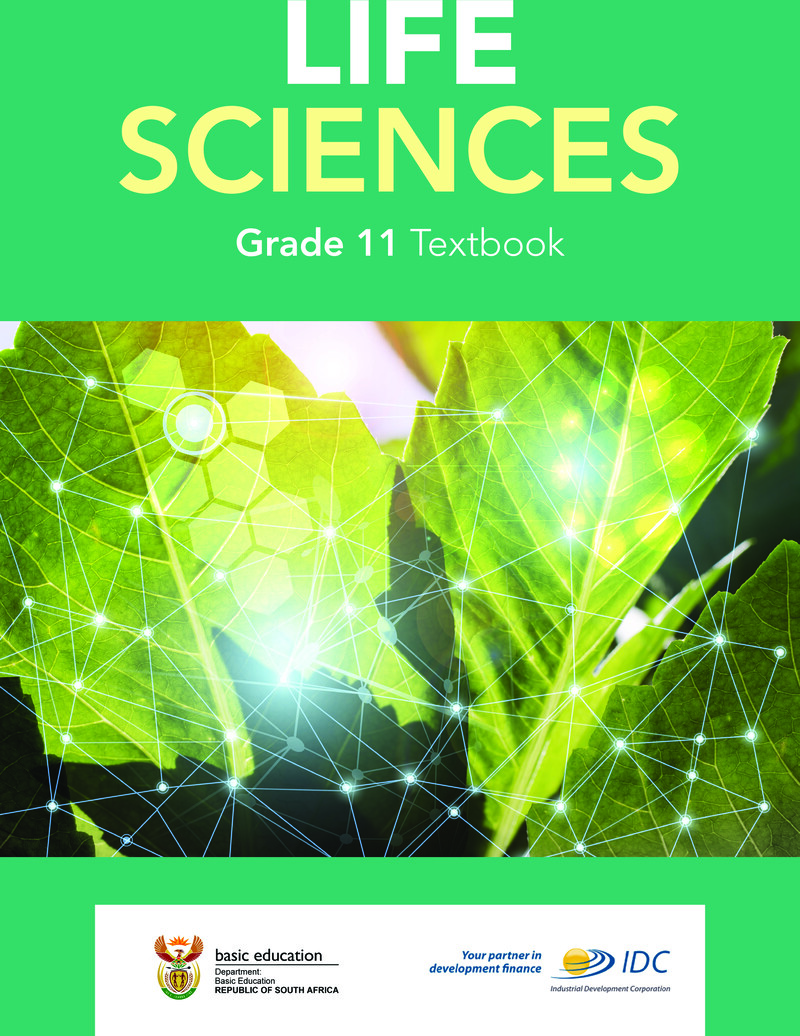 Life Sciences Grade 11 Textbook Nmu