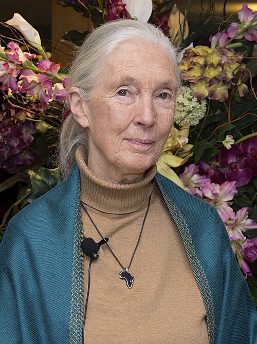 Jane Goodall Biography